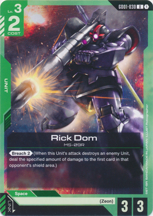 Rick Dom
